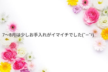 ⭐雑談とレビューまぜこぜに⭐

7終わり〜8月は繁忙期でほんとにきちんと肌のお手入れができてなかったです😅


もちろんSK-Ⅱも使っていたのですが
SK-Ⅱじゃない日も多かったし、オールインワンで済ま