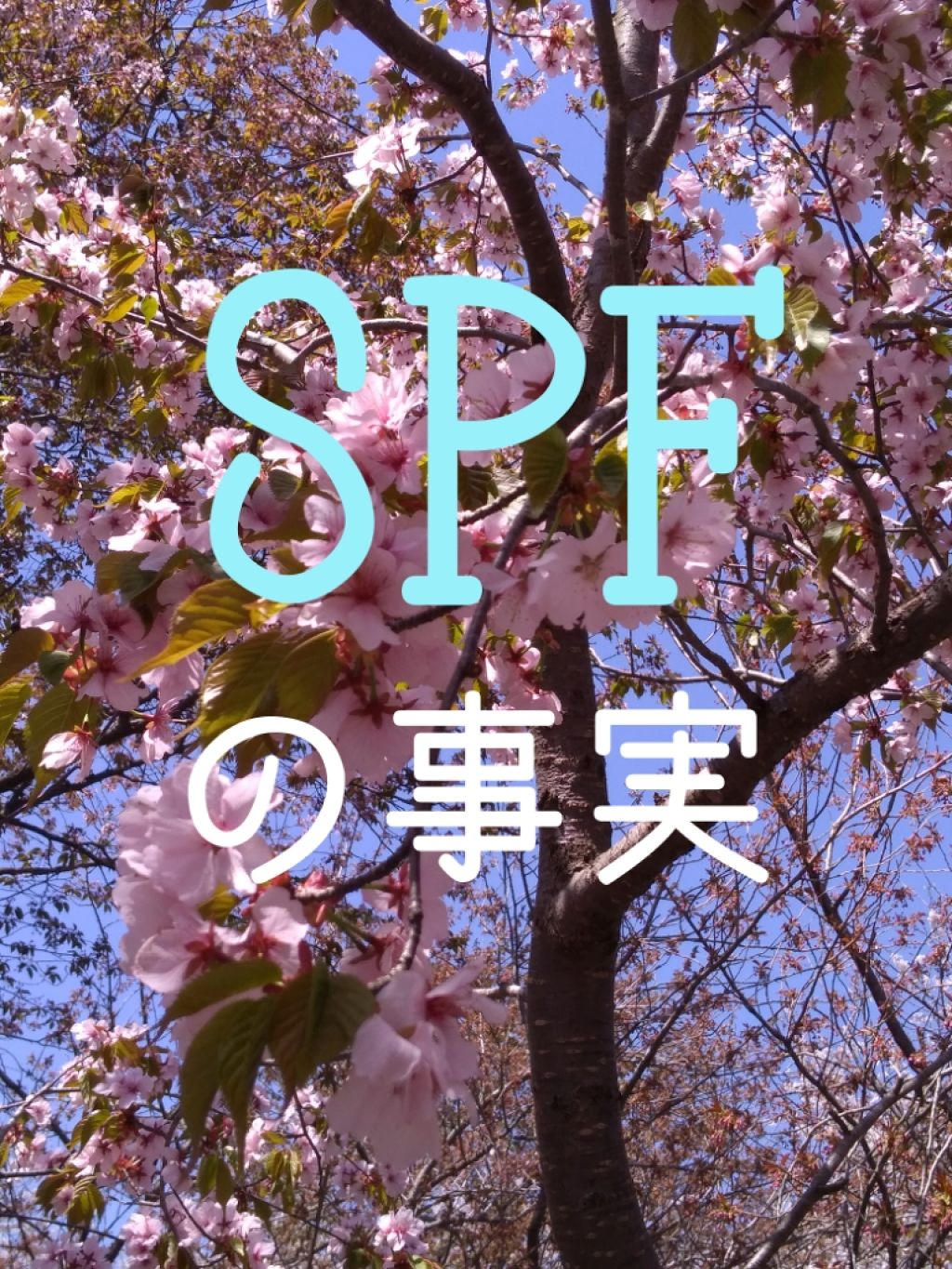 エッセンスＵＶ マイルドミルク/アネッサ/日焼け止め・UVケアを使ったクチコミ（1枚目）