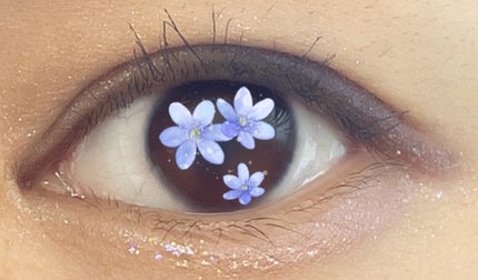 ジュエリーシャドウベール/キャンメイク/アイシャドウパレットを使ったクチコミ(9枚目)