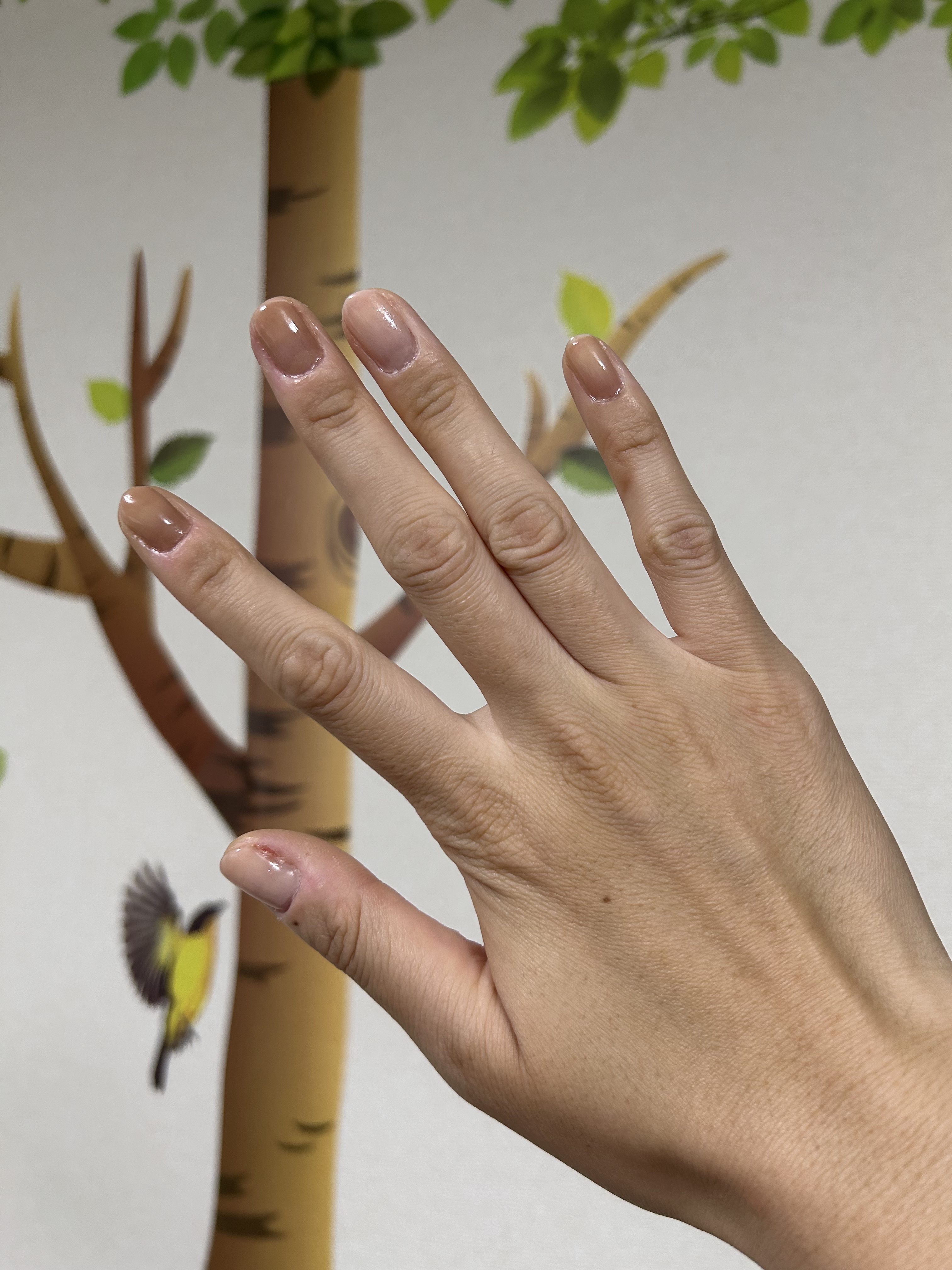 ミニネイル/パラドゥ/マニキュアを使ったクチコミ（3枚目）