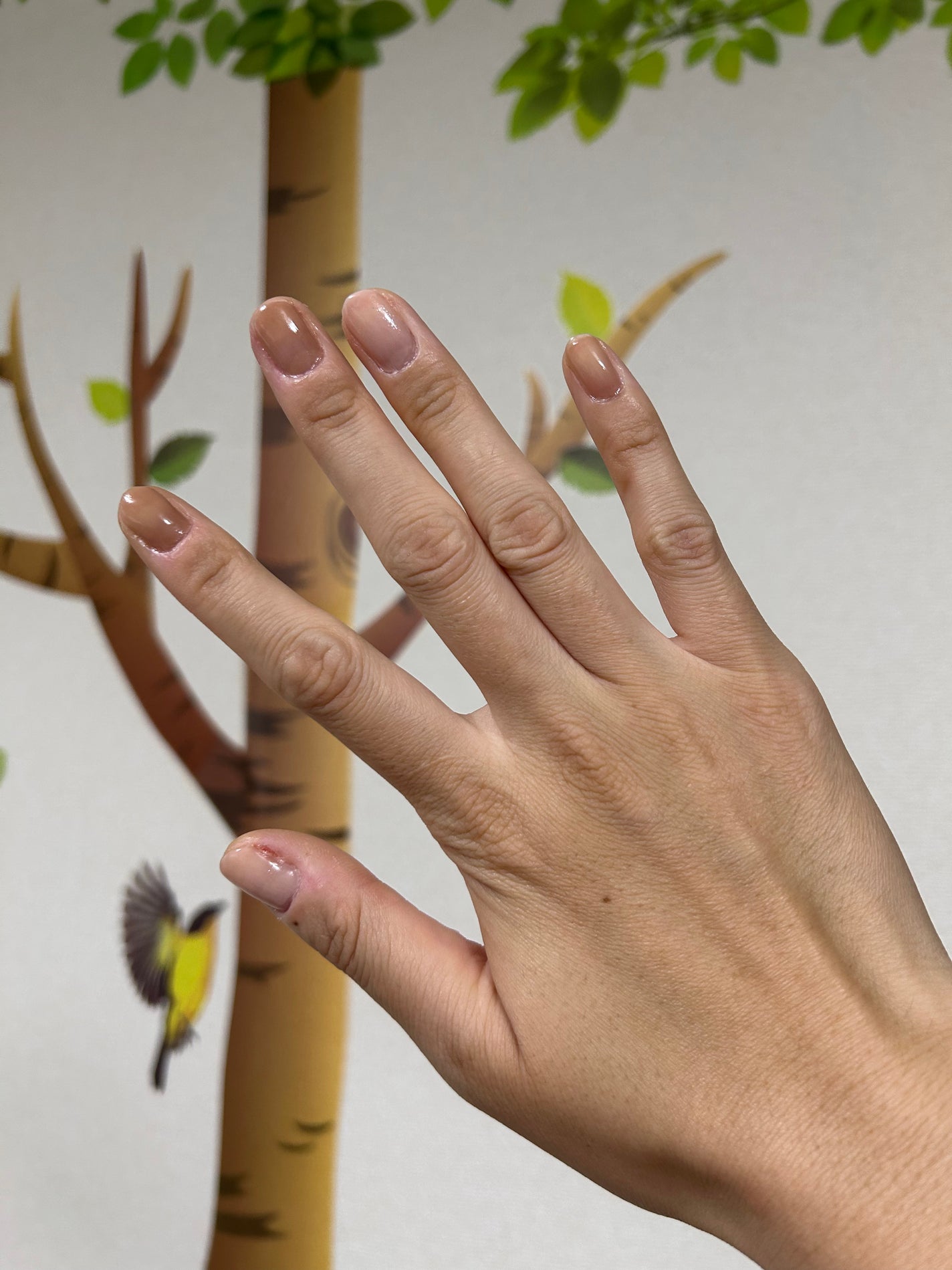 カラフルネイルズ/キャンメイク/マニキュアを使ったクチコミ(3枚目)