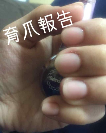 ネイルオイル/ベリンダ/ネイルオイル・トリートメントを使ったクチコミ(1枚目)