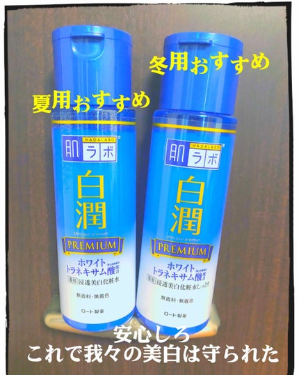 白潤 薬用美白化粧水/肌ラボ/化粧水を使ったクチコミ(2枚目)