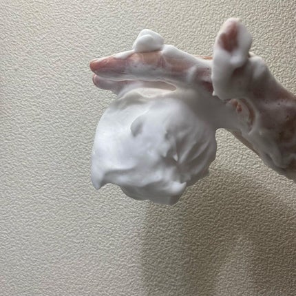 プレミアムパーフェクトホイップ /SENKA(専科)/洗顔フォームを使ったクチコミ(5枚目)