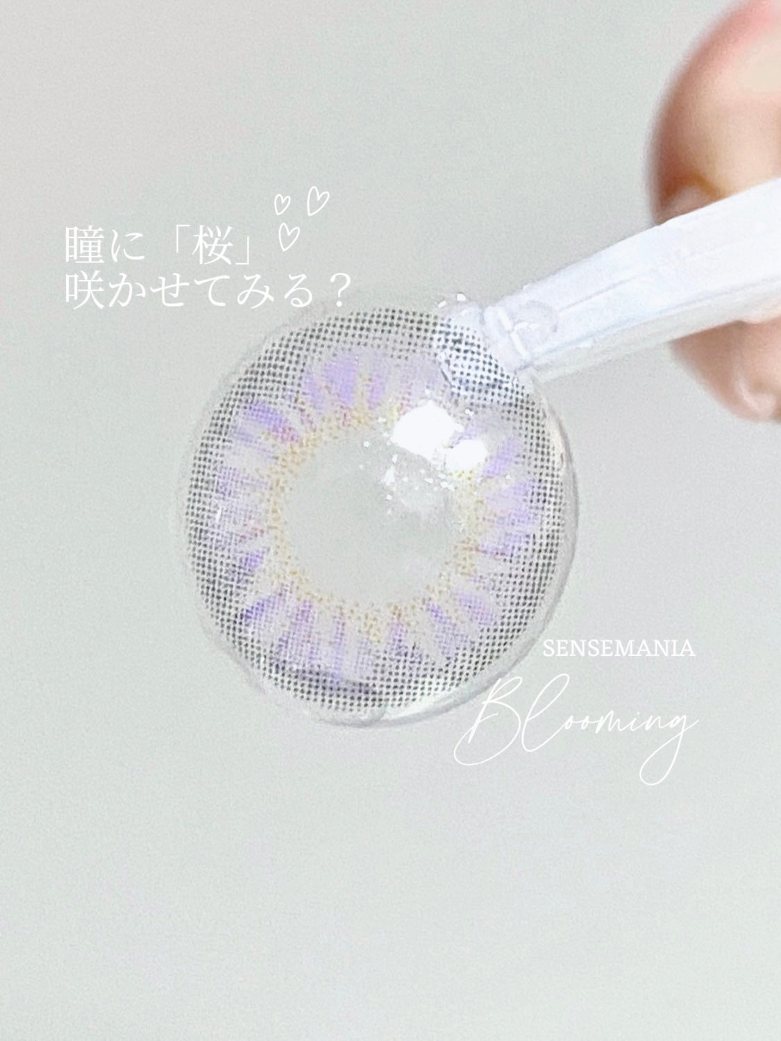 ブルーミング/SENSE mania/1ヶ月(1MONTH)カラコンを使ったクチコミ(1枚目)