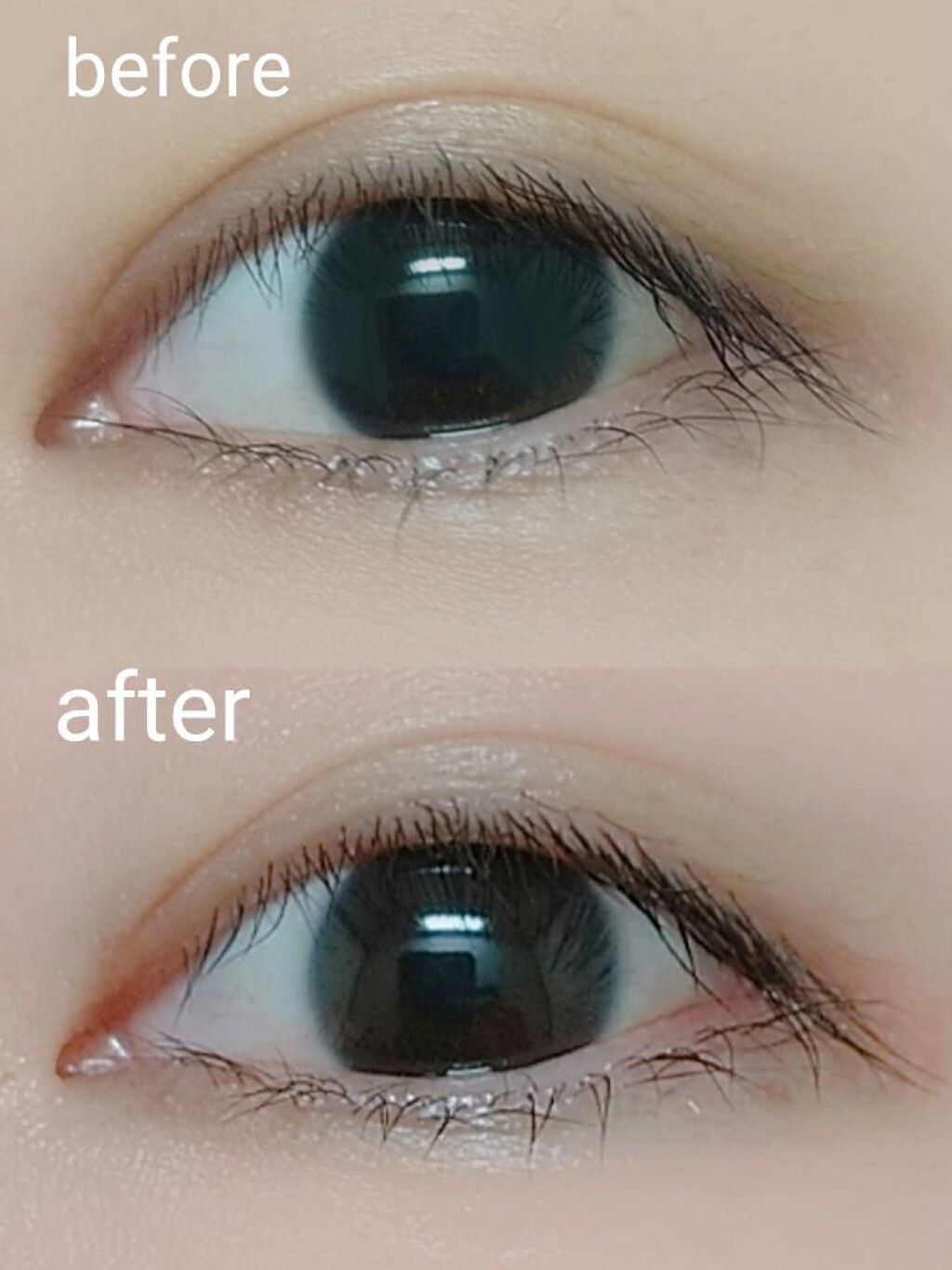 4GFアイラッシュアンプル/manyo/まつげ美容液を使ったクチコミ（2枚目）