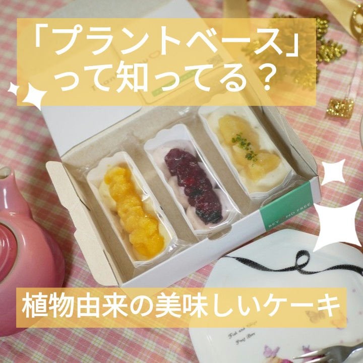 みとらん on LIPS 「もうすぐクリスマスですね。我が家もクリスマスツリーを新調しまし..」(1枚目)