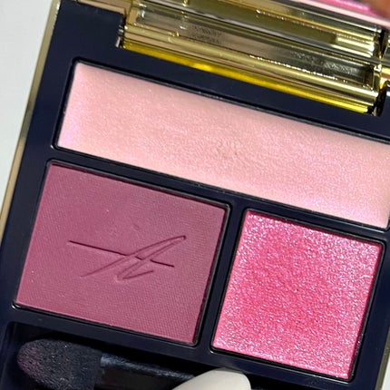 コンスピキュアス アイズ/Amplitude/アイシャドウパレットを使ったクチコミ(2枚目)