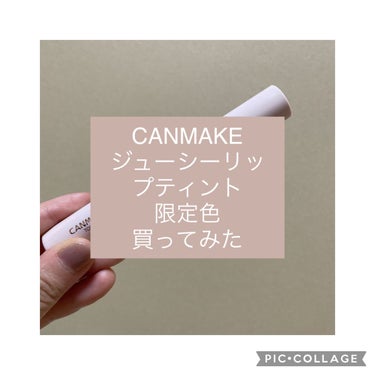 みなさんどーも🐼です。
今日はCANMAKEから出たジューシーリップティントの限定色08ヘーゼルミルクを購入したのでレビューしていきたいと思います。

絶妙な色具合
つけた瞬間顔面に秋到来って感じですね