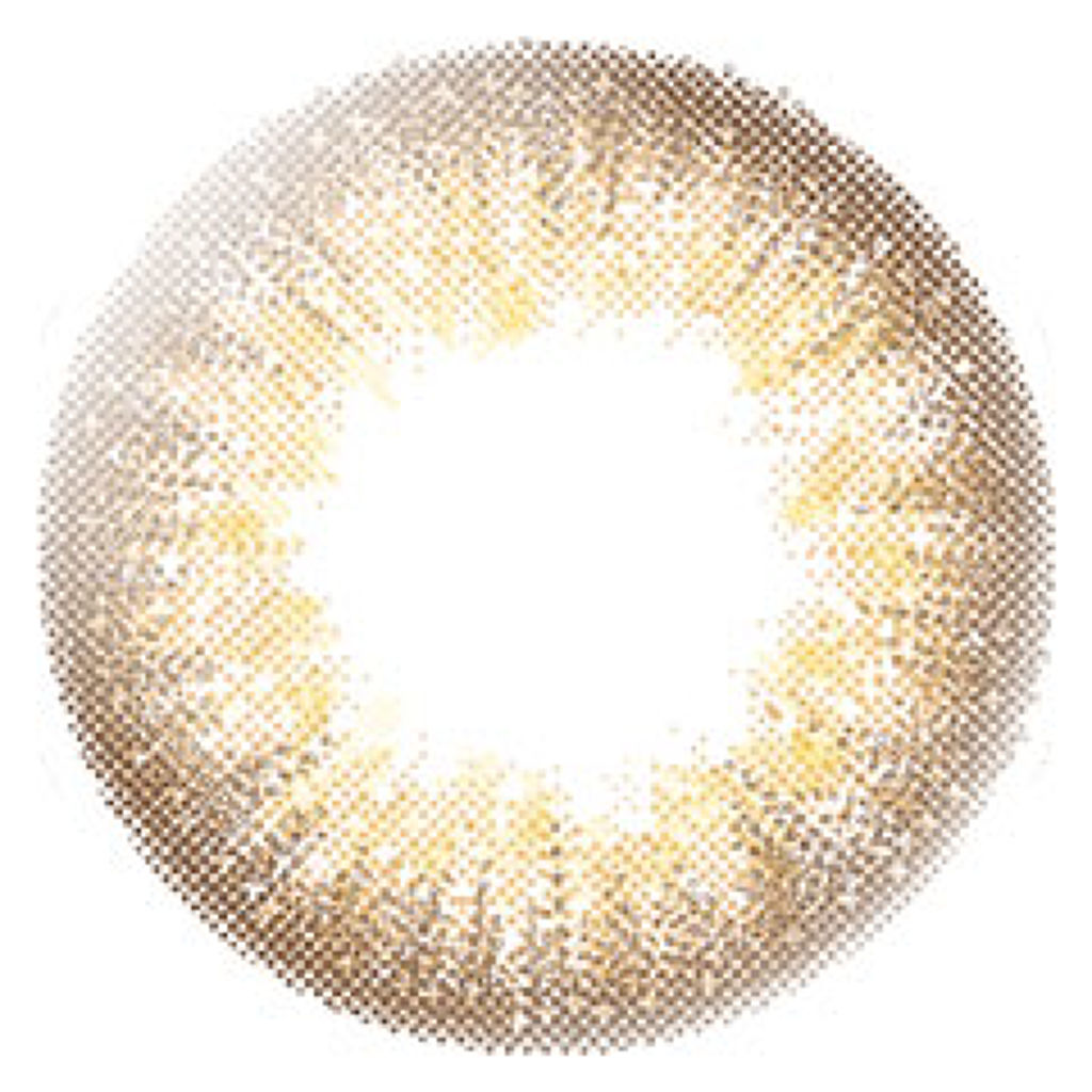 ヌーディーキャメル