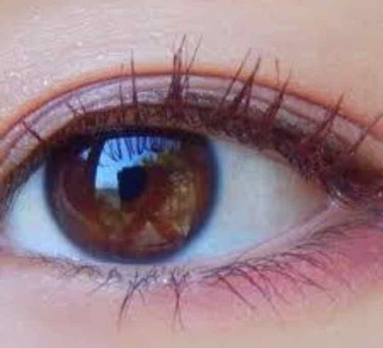 【旧品】パウダーチークス/キャンメイク/パウダーチークを使ったクチコミ(1枚目)