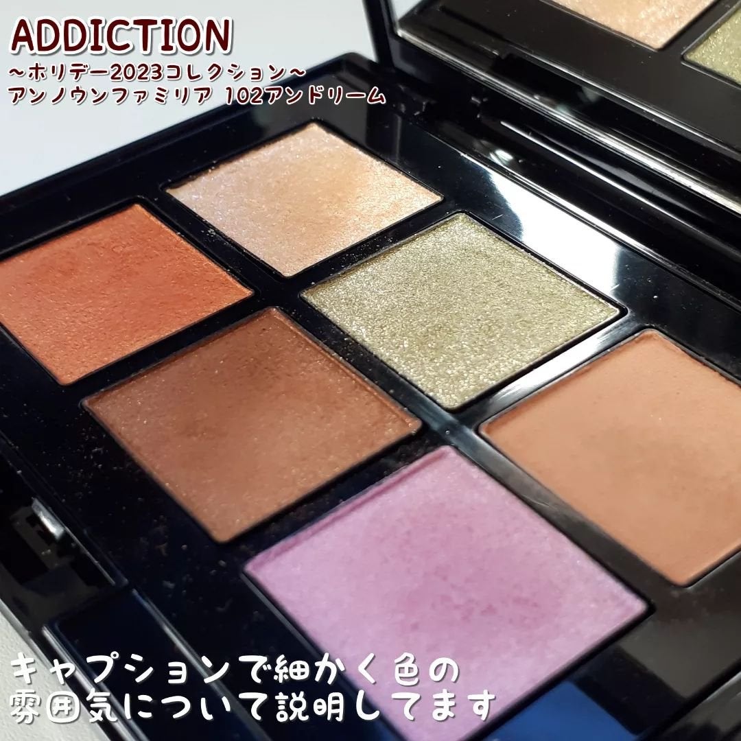 ホリデーアディクション アイシャドウパレット“アンノウンファミリア”/ADDICTION/アイシャドウパレットを使ったクチコミ(7枚目)