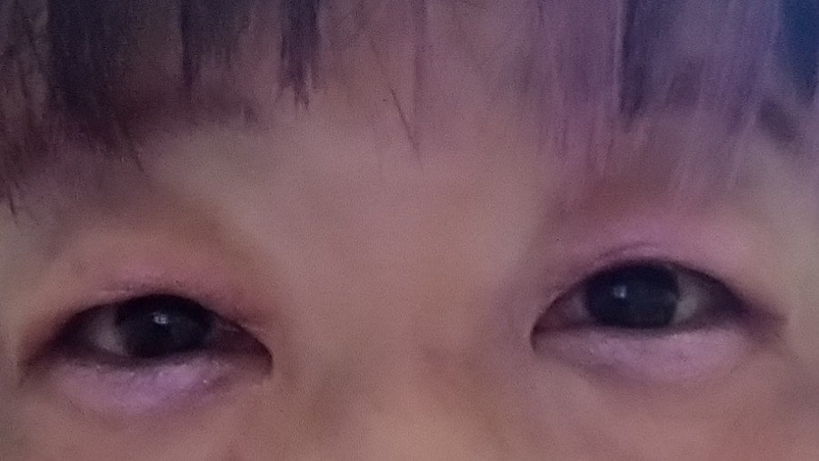 レトロマグネティック アイシャドウパレット/FlowerKnows/アイシャドウパレットを使ったクチコミ（2枚目）