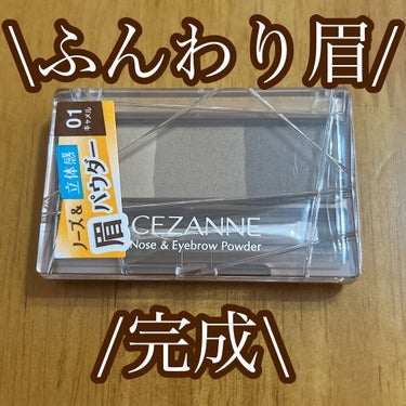 ノーズ＆アイブロウパウダー/CEZANNE/パウダーアイブロウを使ったクチコミ（1枚目）