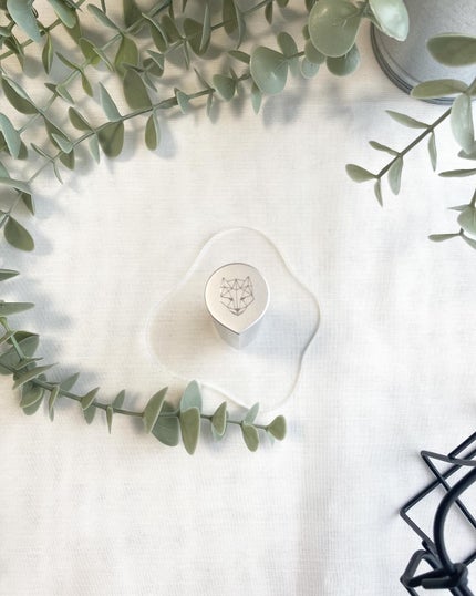 ルナリア リップ カラーコレクト コンディショナー/SNOW FOX SKINCARE/リップクリームを使ったクチコミ(4枚目)