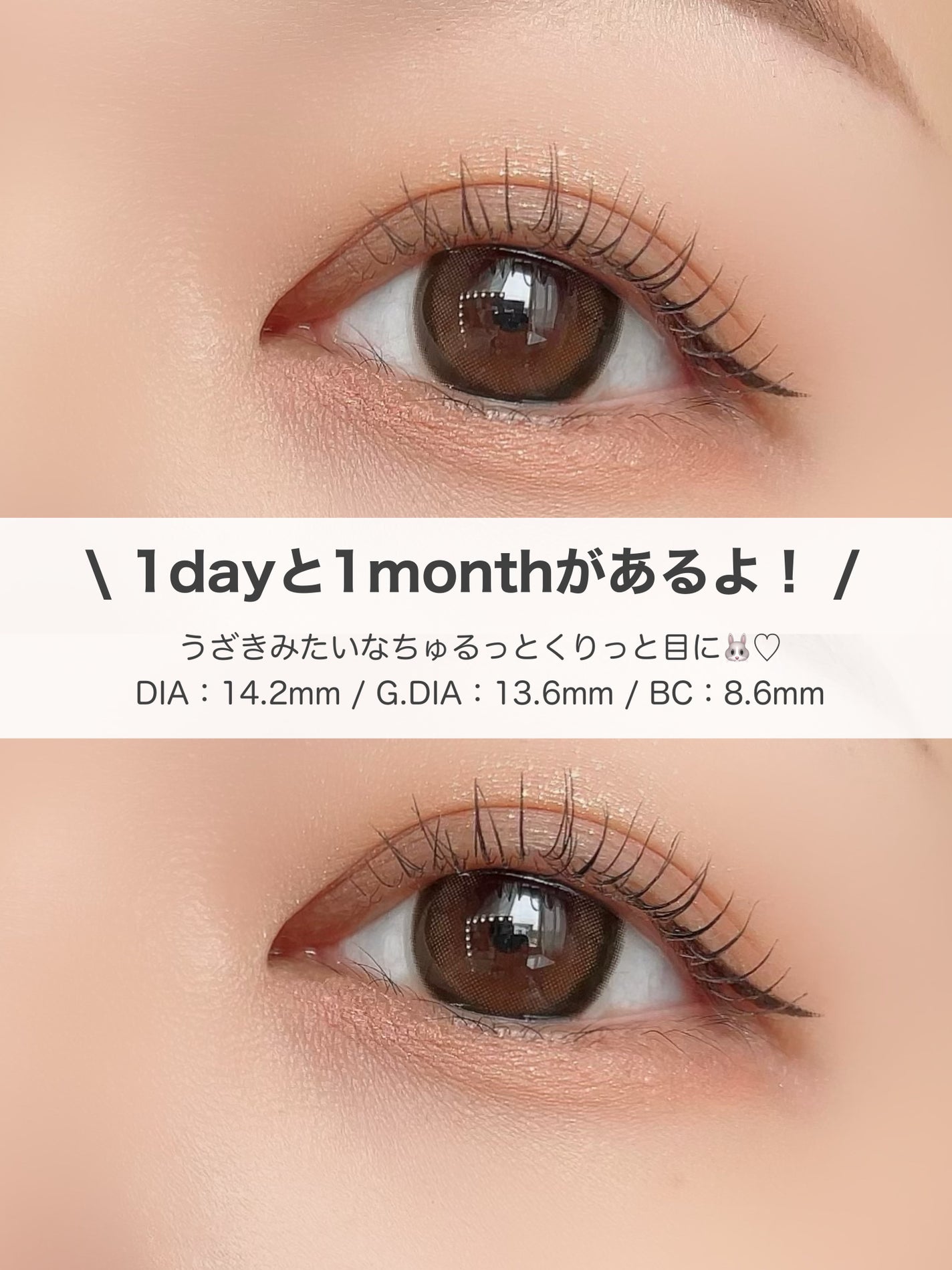 MOLAK 1day/MOLAK/ワンデー(1DAY)カラコンを使ったクチコミ(3枚目)