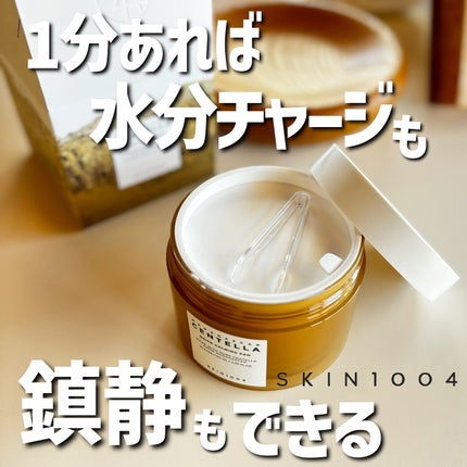センテラ クイックカーミングパッド/SKIN1004/トナーパッドを使ったクチコミ(1枚目)