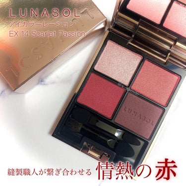 アイカラーレーション EX14（限定発売）/LUNASOL/パウダーアイシャドウを使ったクチコミ（1枚目）