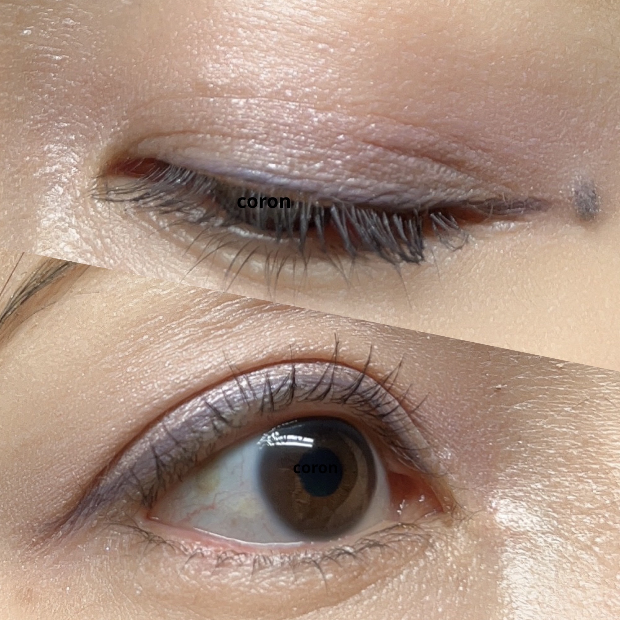 アイブロウ カラーマスカラ 01　ゴールドベージュ/Amplitude/眉マスカラを使ったクチコミ（2枚目）