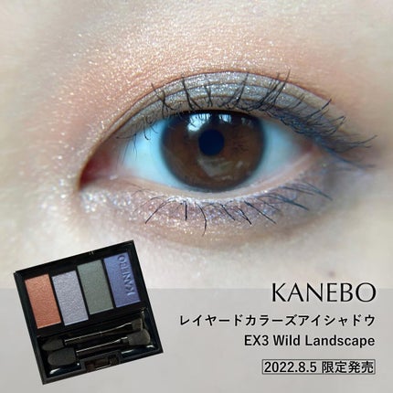 レイヤードカラーズアイシャドウ EX3 Wild Landscape(限定)/KANEBO/アイシャドウパレットを使ったクチコミ(1枚目)