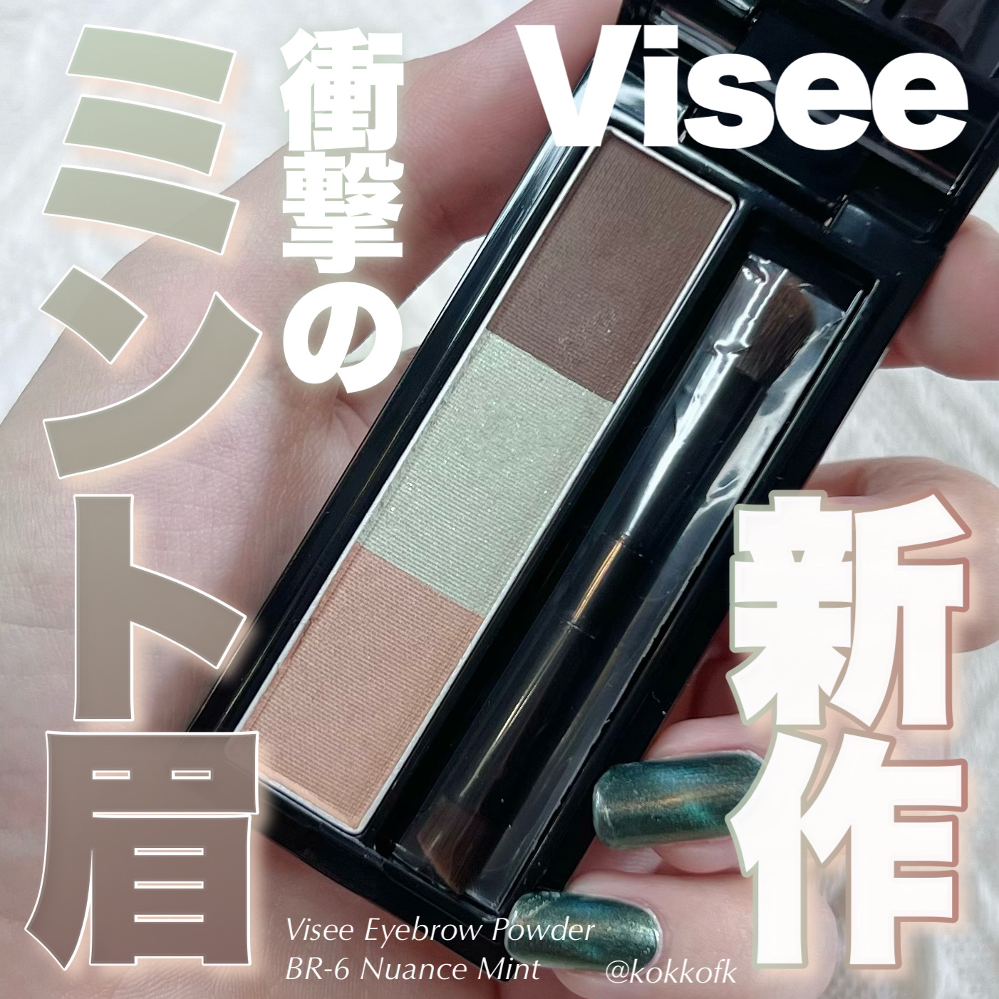 ヴィセ リシェ アイブロウパウダー/Visée/パウダーアイブロウを使ったクチコミ（1枚目）