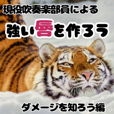 ＼強い唇になろう／〈ダメージを知ろう！編〉


吹奏楽部員が先生や先輩、そして自身の経験を現役を名乗れるうちにお伝えします😌


①荒れないリップもダメージがある！

荒れないティントはたくさんあります