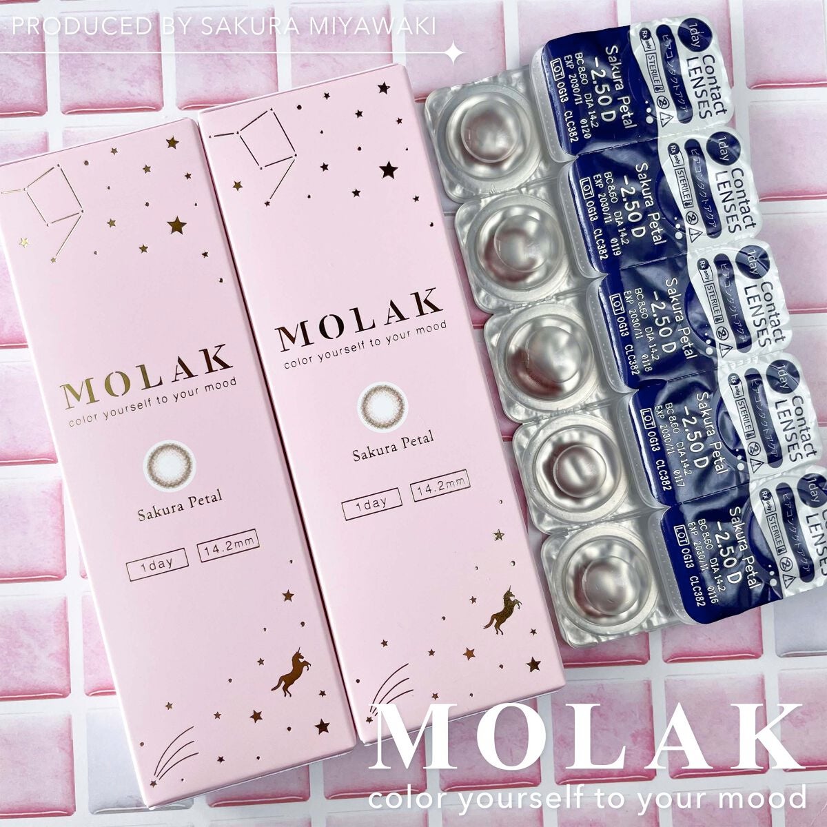 MOLAK 1day/MOLAK/ワンデー(1DAY)カラコンを使ったクチコミ(5枚目)