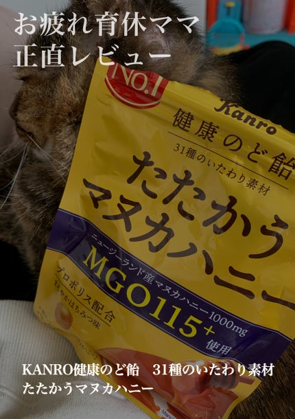 たたかうマヌカハニー/カンロ/食品を使ったクチコミ(1枚目)