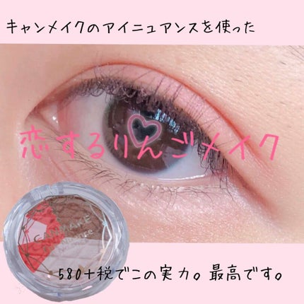 アイニュアンス/キャンメイク/アイシャドウパレットを使ったクチコミ(1枚目)