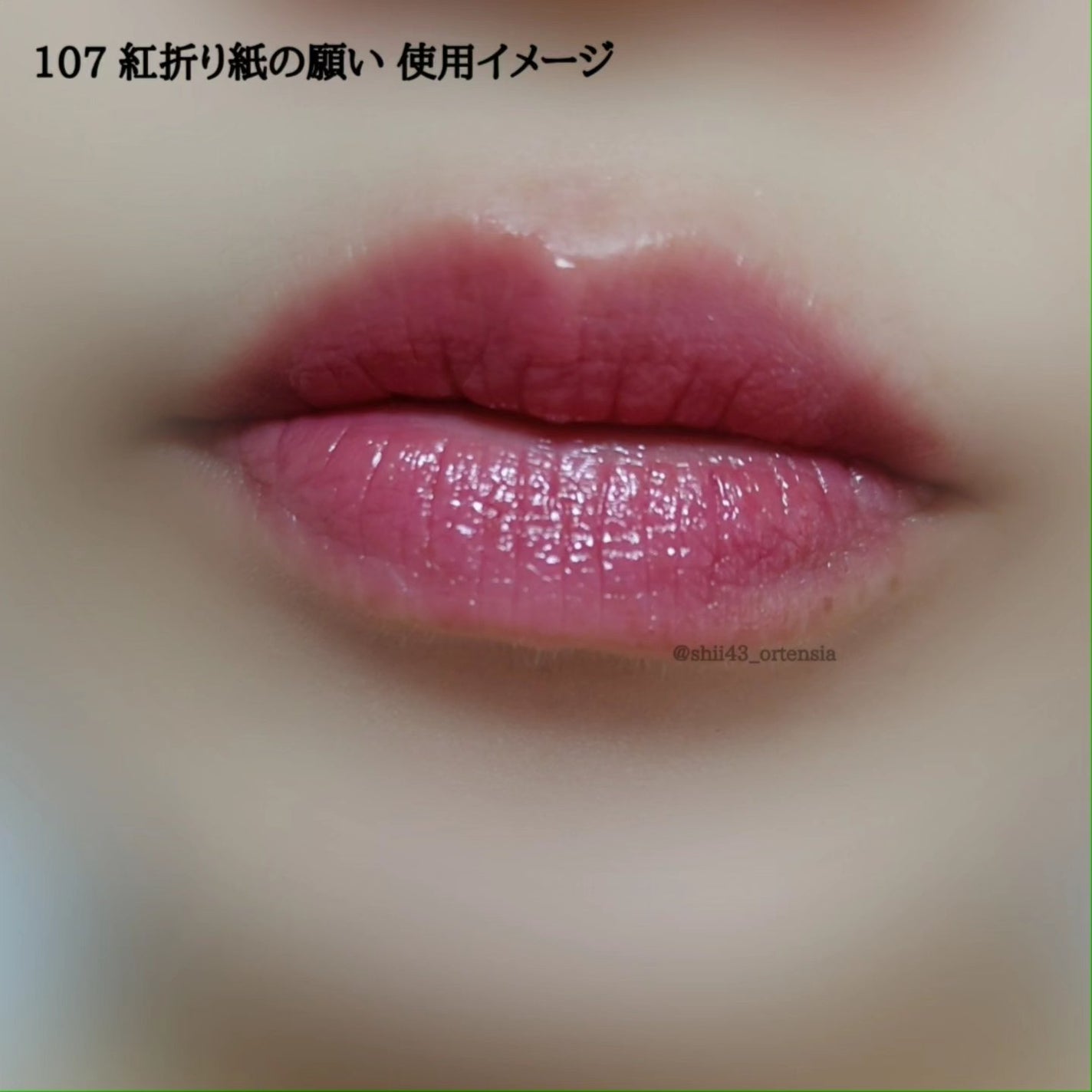 ケイト リップモンスター/KATE/口紅を使ったクチコミ(4枚目)