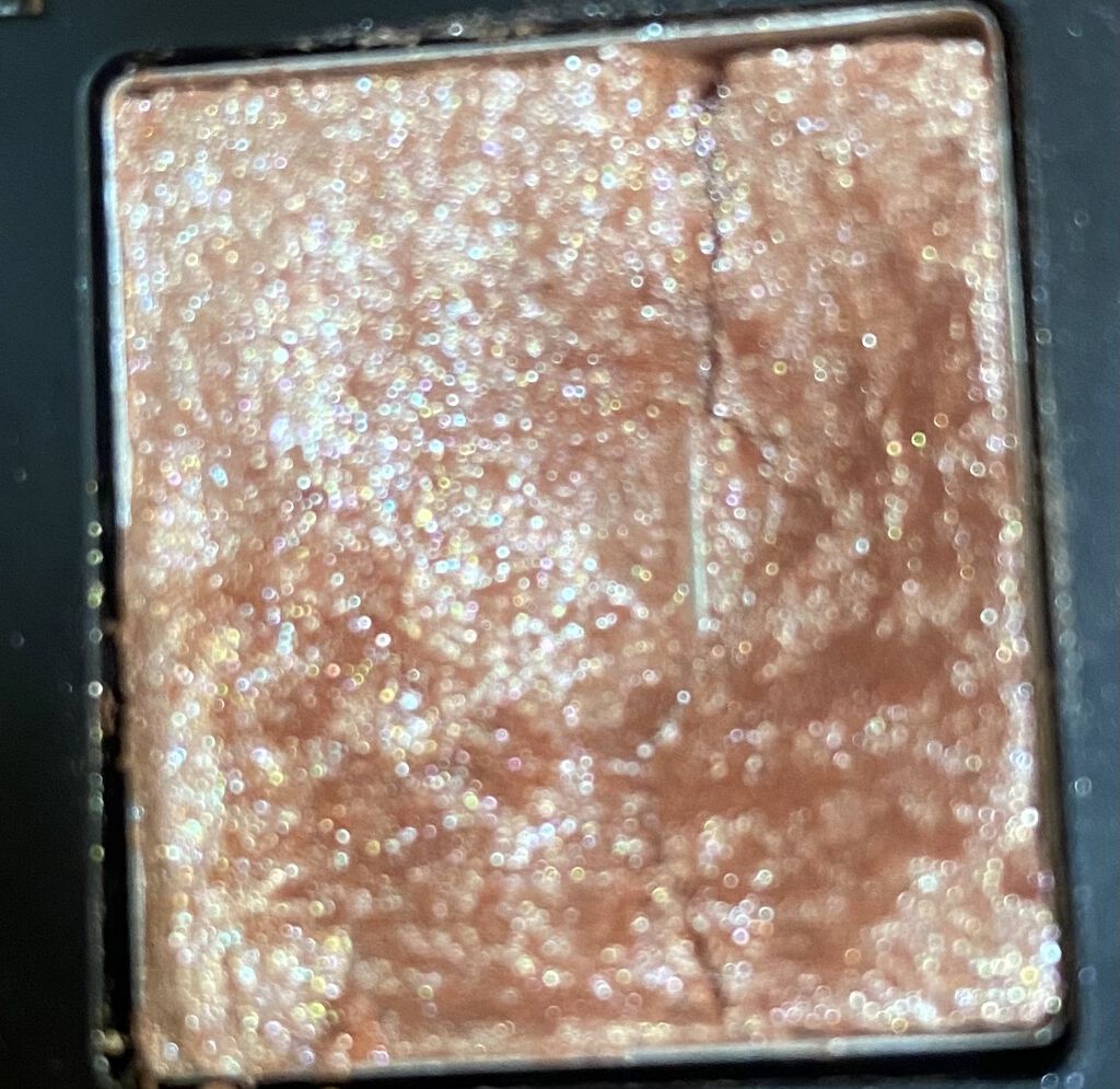 プロ シングル シャドウ/CLIO/単色アイシャドウを使ったクチコミ（2枚目）