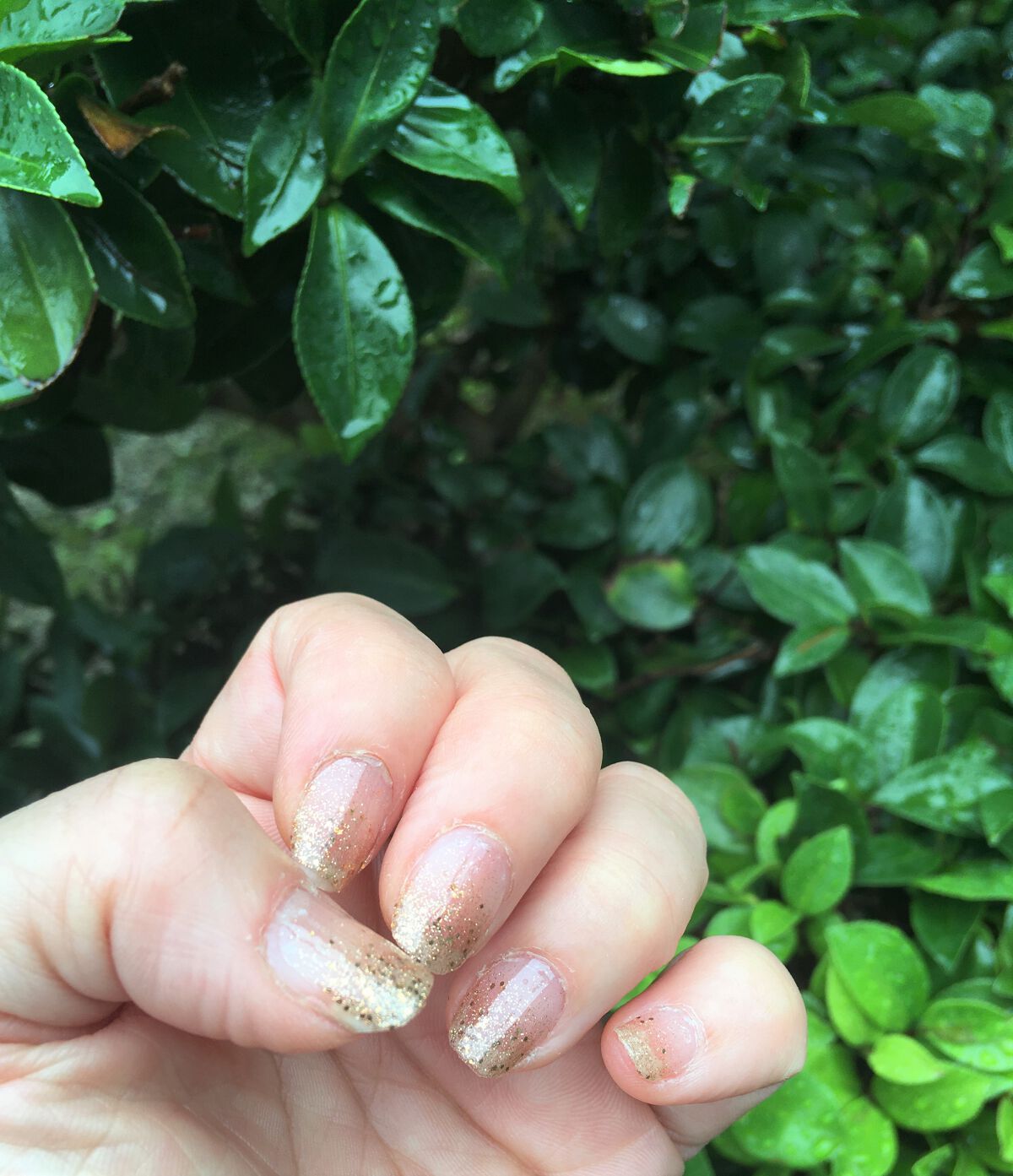 INCOCO インココ マニキュアシート/インココ/ネイルシールを使ったクチコミ(3枚目)