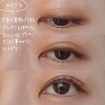 パノラマデザイン アイパレット/Visée/アイシャドウパレットを使ったクチコミ(8枚目)