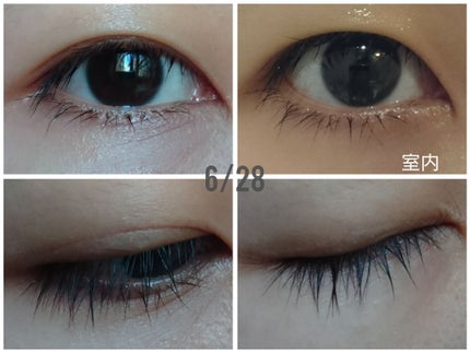 ローヤルゼリー配合 栄養ローション/DAISO/美容液を使ったクチコミ(2枚目)