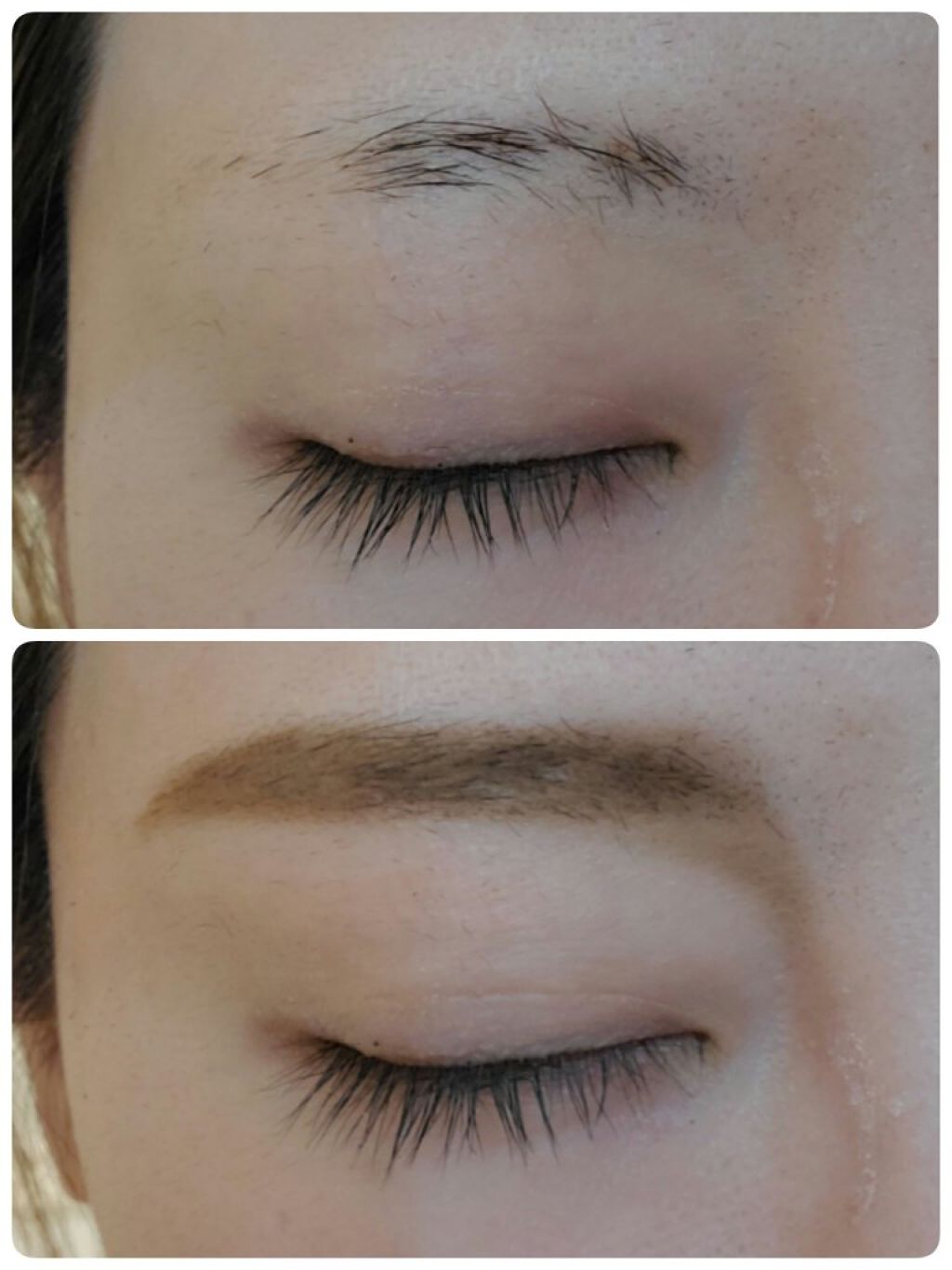 フーミー　アイブロウブラシ 熊野筆/WHOMEE/メイクブラシを使ったクチコミ（1枚目）