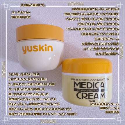 メディカルクリームG(薬用クリームG)/メンターム/ハンドクリームを使ったクチコミ(4枚目)