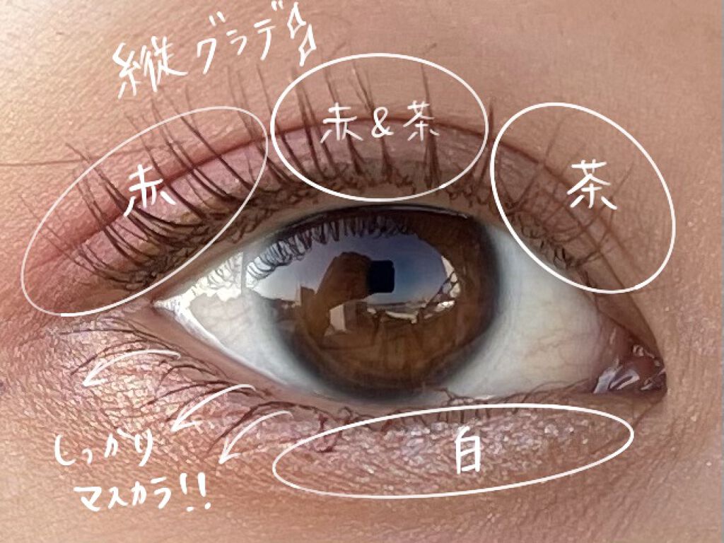 パーフェクトフィルター シャドウ パレット/NYX Professional Makeup/アイシャドウパレットを使ったクチコミ（1枚目）