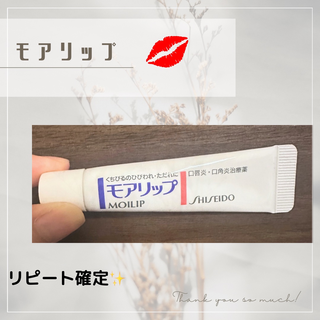 モアリップ N (医薬品)/資生堂薬品/その他を使ったクチコミ（1枚目）