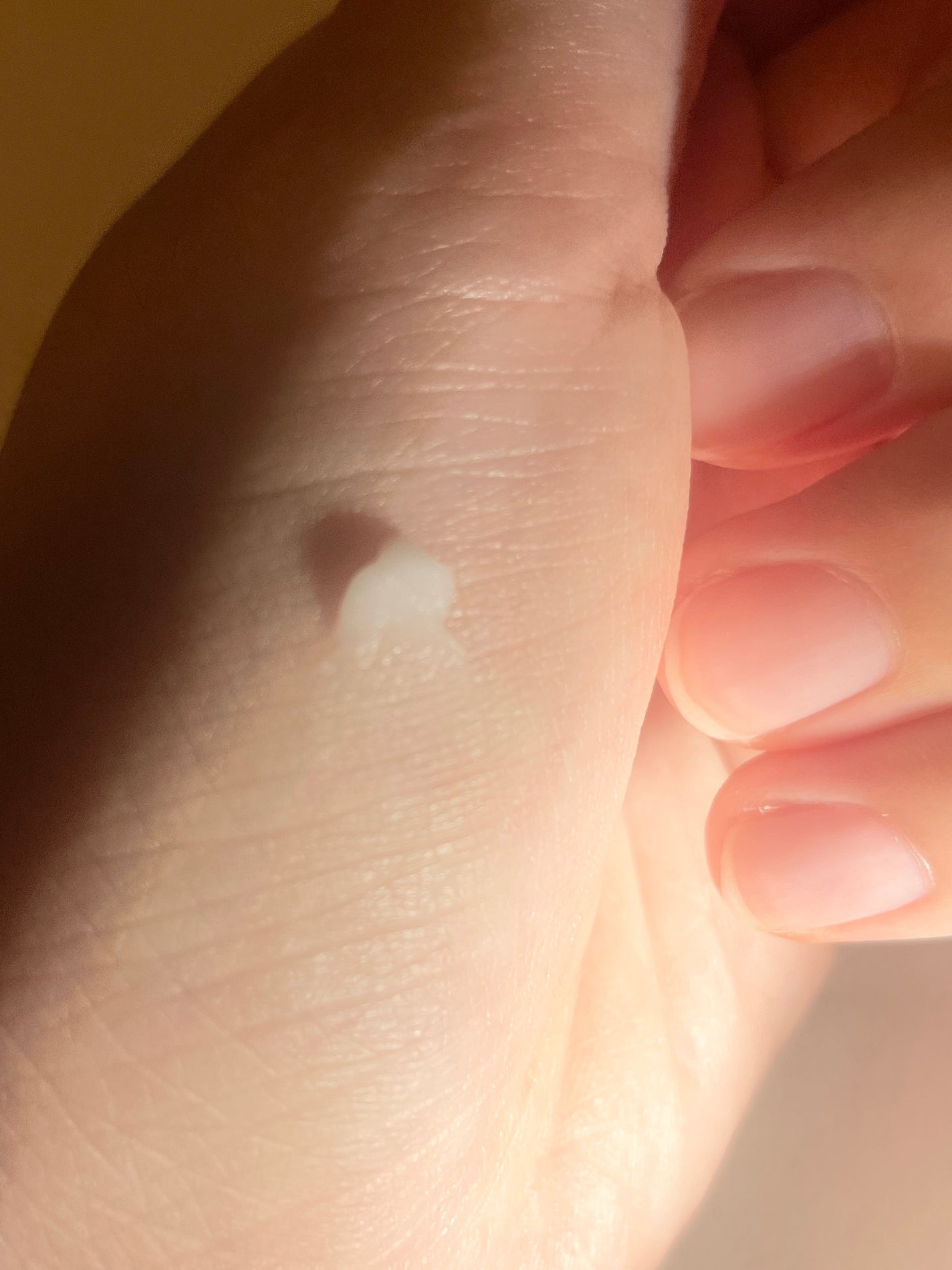 キュレル 潤浸保湿 パウダーバーム/キュレル/フェイスバームを使ったクチコミ(2枚目)