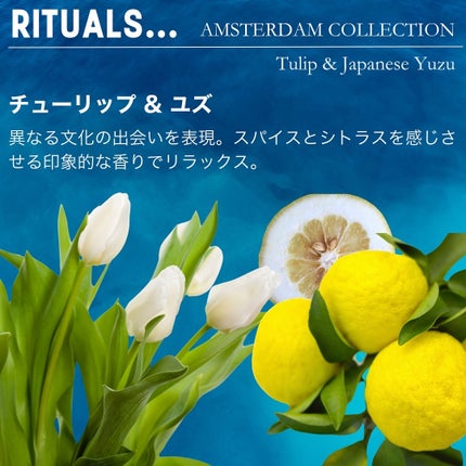 アムステルダム コレクション フォーミング シャワー ジェル/RITUALS/ボディソープを使ったクチコミ(5枚目)