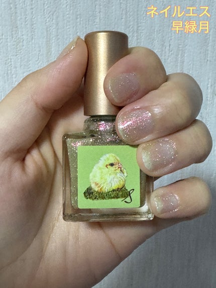ネイルエス/ nail S(ネイルエス) /マニキュアを使ったクチコミ(1枚目)