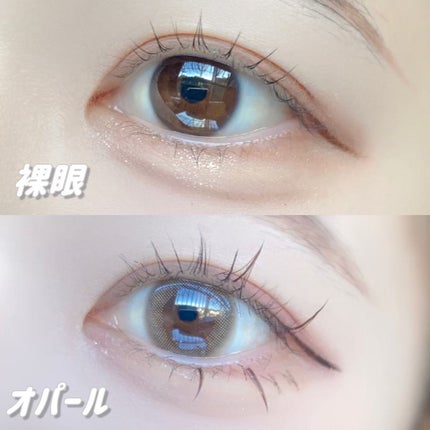 TOPARDS 1day/TOPARDS/ワンデー(1DAY)カラコンを使ったクチコミ(5枚目)