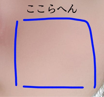 ドラマティックパウダリー EX/マキアージュ/パウダーファンデーションを使ったクチコミ(2枚目)