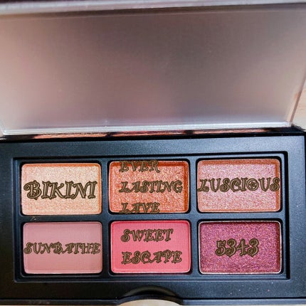 アンラップド ミニアイシャドーパレット ORGASM /NARS/アイシャドウパレットを使ったクチコミ(6枚目)