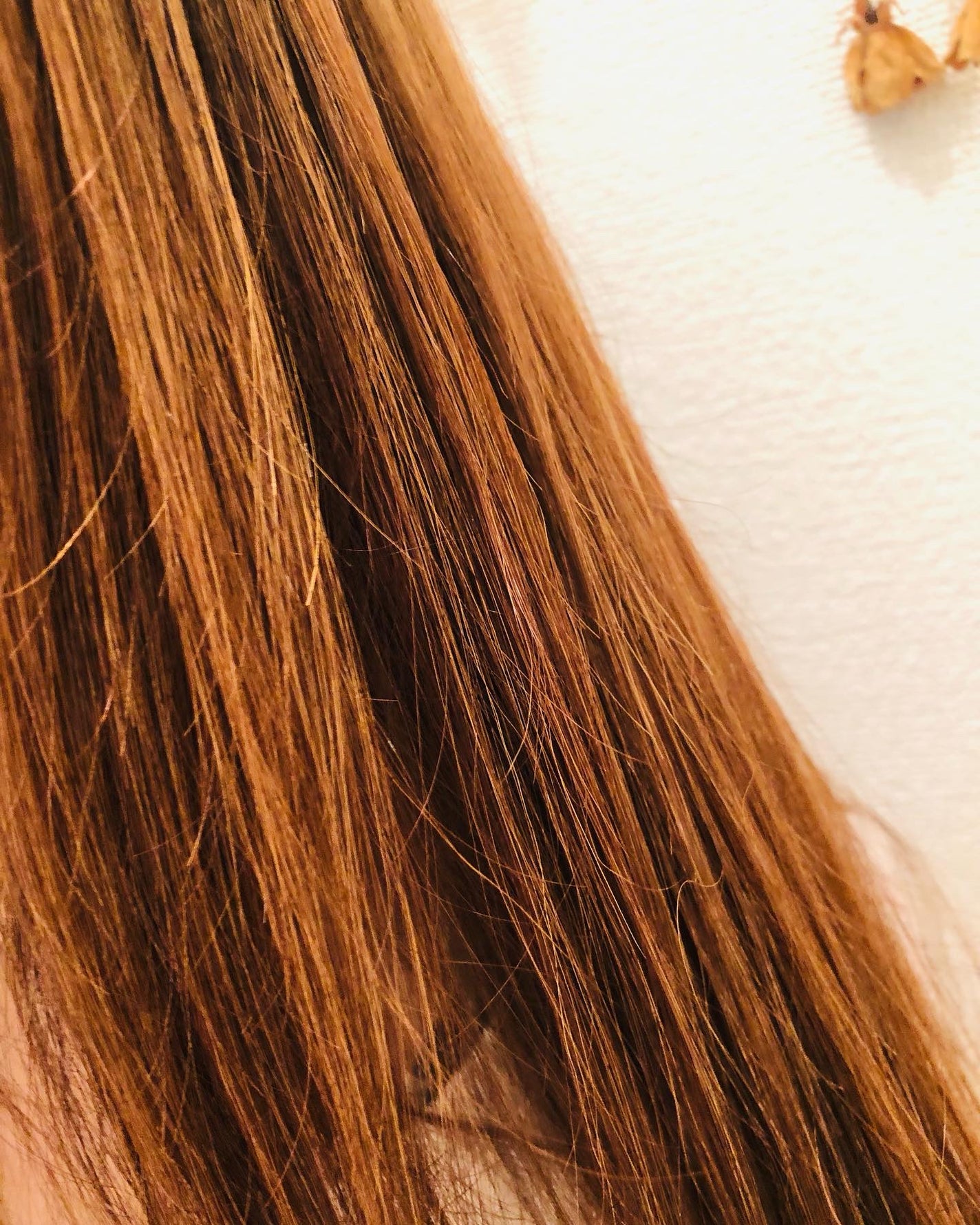 クレイクリームシャンプー(モイスト)/cocone/市販シャンプーを使ったクチコミ(6枚目)