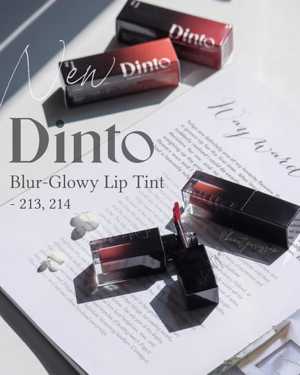 ブラーグロイリップティント/Dinto/リップティントを使ったクチコミ(1枚目)