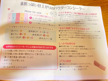 パステルヴェールコンシーラー/キャンメイク/パレットコンシーラーを使ったクチコミ(2枚目)