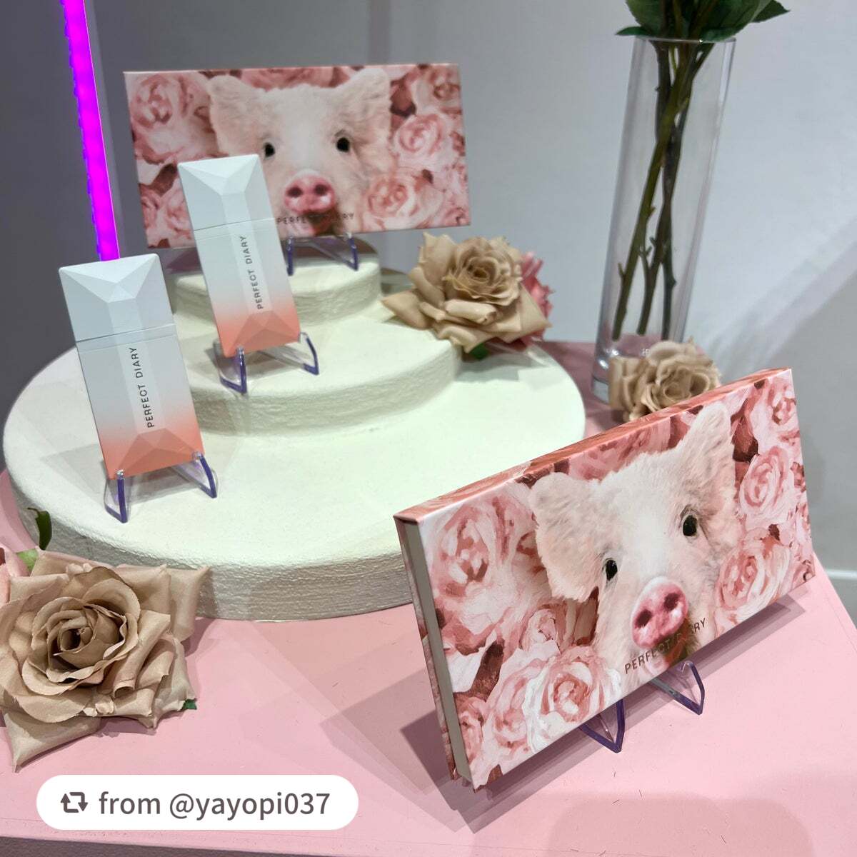 エクスプローラ12色 動物アイシャドウパレット/PERFECT DIARY/アイシャドウパレットを使ったクチコミ(9枚目)