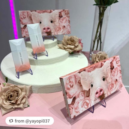 エクスプローラ12色 動物アイシャドウパレット/PERFECT DIARY/アイシャドウパレットを使ったクチコミ(9枚目)