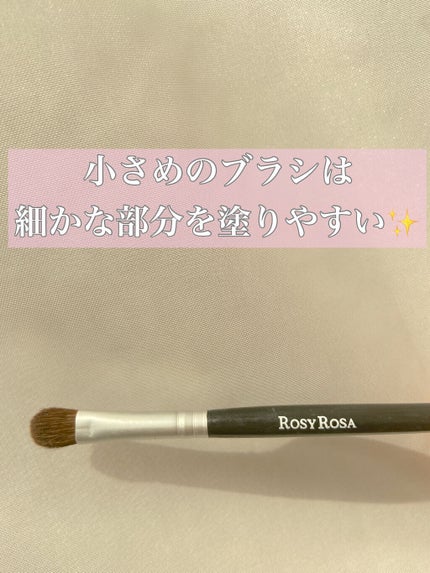 アイシャドウブラシセット/ロージーローザ/メイクブラシを使ったクチコミ(3枚目)